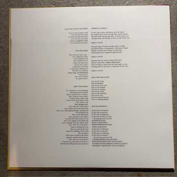 LP Lungfish: Artificial Horizon CLR