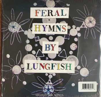 LP Lungfish: Feral Hymns CLR