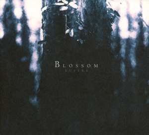 Album Lustre: Blossom