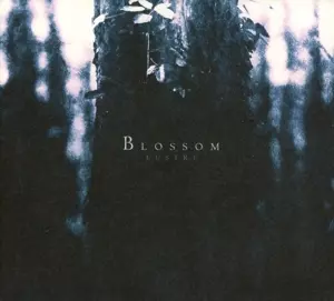 Lustre: Blossom