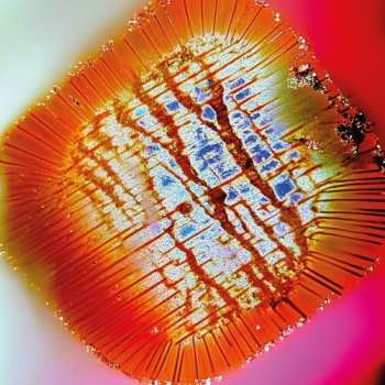 Album Mac Declos: Nothing Stands Still