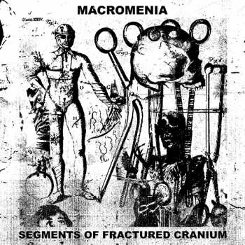 Macromenia: Segments Of Fractured Cranium