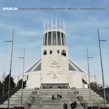 The Georgia Anne Muldrow "Seeds" Instrumentals / The Declaime Instrumentals