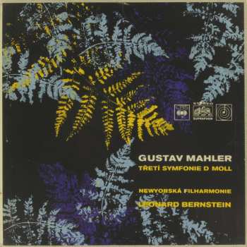 2LP/Box Set Gustav Mahler: Symfonie Č.3, D Moll 538516