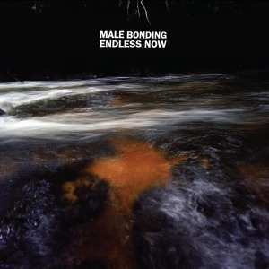 Album Male Bonding: Endless Now