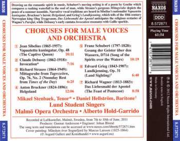 CD Malmö Operaorkester: Choruses For Male Voices And Orchestra 348888