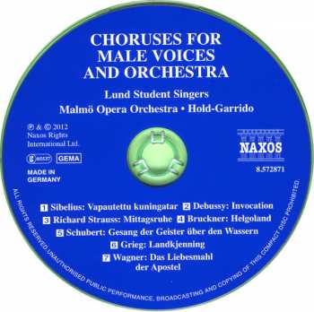 CD Malmö Operaorkester: Choruses For Male Voices And Orchestra 348888