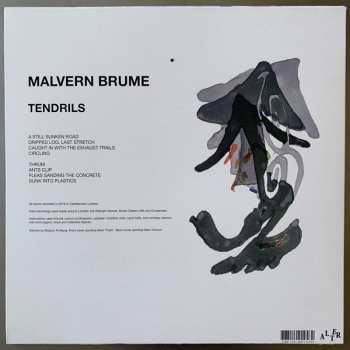 LP Malvern Brume: Tendrils 69720