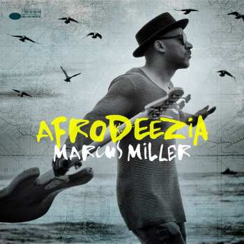 Album Marcus Miller: Afrodeezia