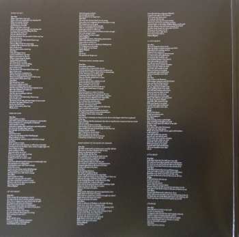 2LP Maria McKee: La Vita Nuova