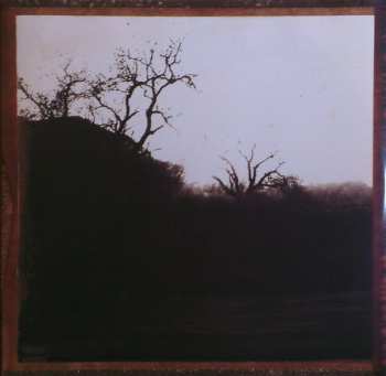 LP Mark Lanegan: Field Songs 389685