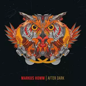 Markus Homm: After Dark