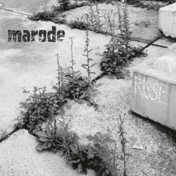 Album Marode: Risse