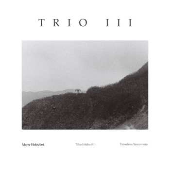 Album Marty Holoubek: Trio III