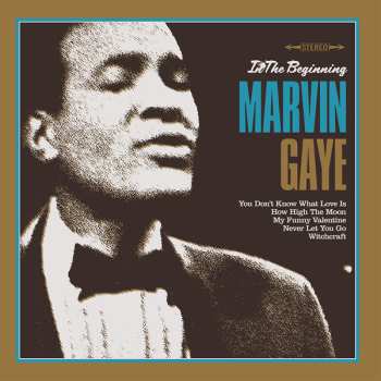 Album Marvin Gaye: In The Beginning