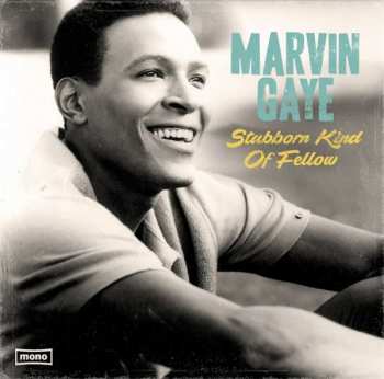 LP Marvin Gaye: Stubborn Kind Of Fellow 395992