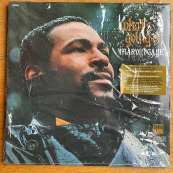2LP Marvin Gaye: What's Going On LTD 388150