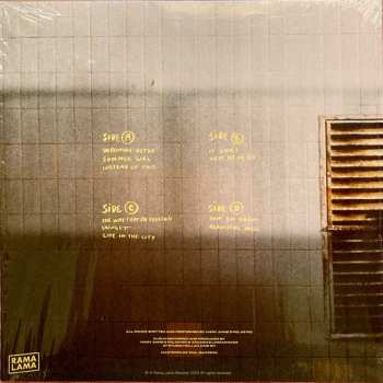 2LP Mary Anne's Polar Rig: Makes You Wonder LTD | CLR