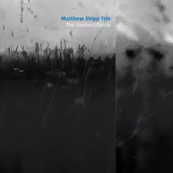 Matthew Shipp Trio: The Unidentifiable