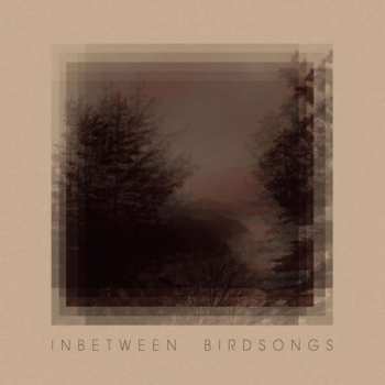 Matthias Gusset: Inbetween Birdsongs