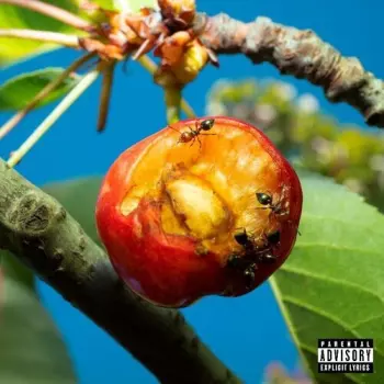 Mecna: Discordia, Armonia E Altri Stati D’Animo