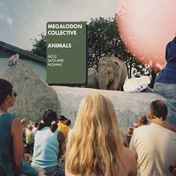 Album Megalodon Collective: Animals