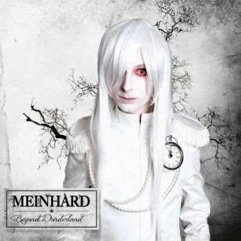 Album Meinhard: Beyond Wonderland
