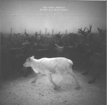 Album Mélissa Laveaux: Dying Is A Wild Night