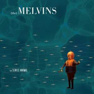 2LP Melvins: (A) Senile Animal LTD | CLR 395589