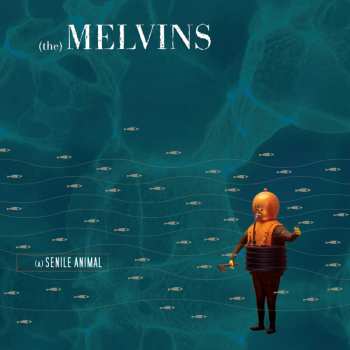 Album Melvins: (A) Senile Animal