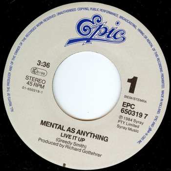 SP Mental As Anything: Live It Up