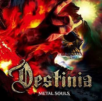 Nozomu Wakai's Destinia: Metal Souls