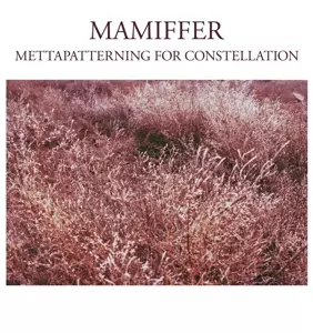 Mamiffer: Mettapatterning For Constellation