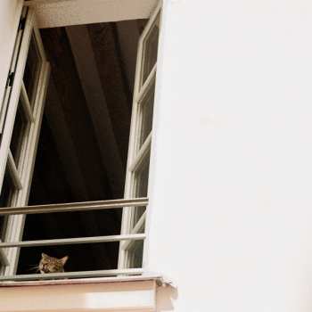 LP M(h)aol: Something Soft