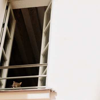 CD M(h)aol: Something Soft