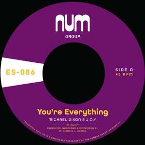 SP Michael Dixon & J.O.Y.: You're Everything 491694