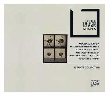 Album Michael Haydn: Divertimenti G-dur & B-dur