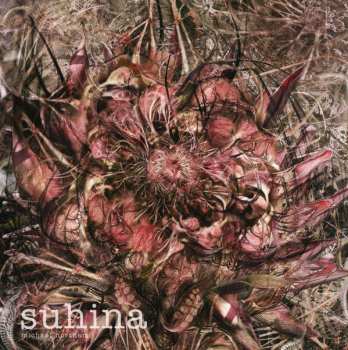 Album Michael Northam: Suhina