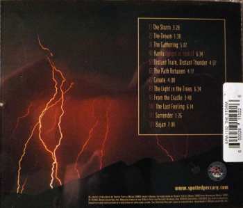 CD Michael Stearns: The Storm 251889