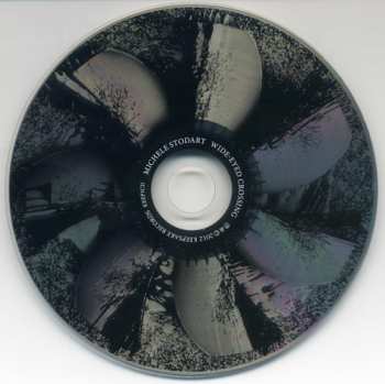 CD Michele Stodart: Wide-Eyed Crossing 262754