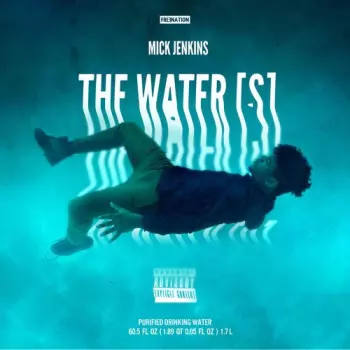 Mick Jenkins: The Water[s]