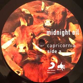 LP Midnight Oil: Capricornia 426094