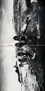 CD Midnight Oil: Diesel And Dust