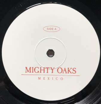 LP Mighty Oaks: Mexico 79121