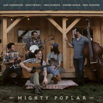 LP Mighty Poplar: Mighty Poplar (lp) 400257