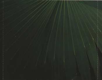 CD Mihai Popoviciu: The Unexpected Truth