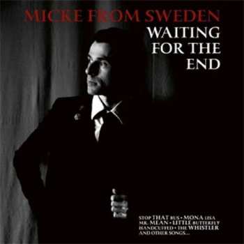 Album Mike From Sweden: Waiting For The End