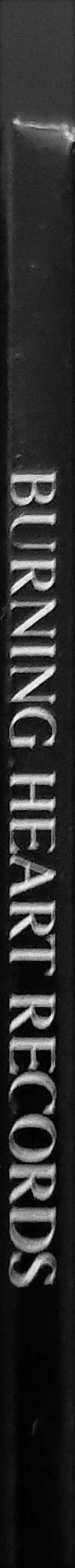 LP Millencolin: Pennybridge Pioneers