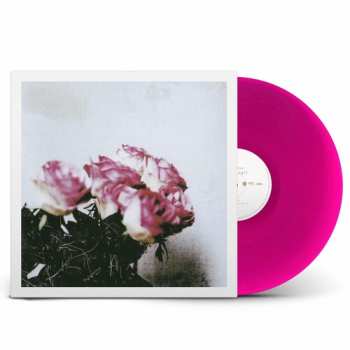 LP Minuano: Love Logic