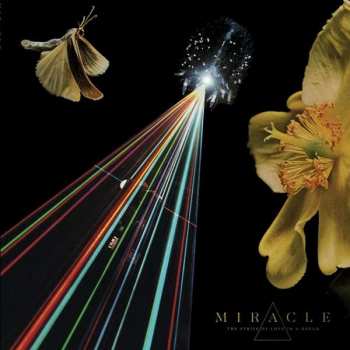 Album Miracle: The Strife Of Love In A Dream